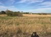10611 Rybak Rd photo